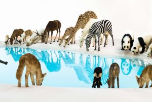Supermankind: Dale Cox, Australian Galleries, Melbourne, Until 22 March
