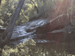 Serko Ltd (ASX: SKO) Investors Seeing A Strong Share Price Rebound