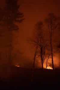 Fires in Arctic and Amazon Outpace 2019's