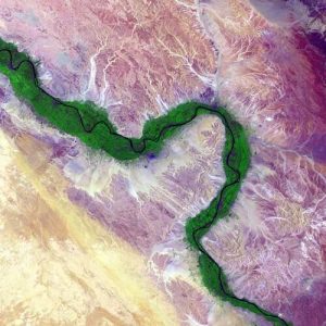 Fires in Arctic and Amazon Outpace 2019's