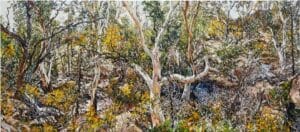 ‘While We’re Still Here’ celebrates contemporary still life at aMBUSH Gallery Canberra