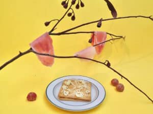 ‘While We’re Still Here’ celebrates contemporary still life at aMBUSH Gallery Canberra