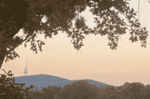 Portfolio Disclosure Saturday May 29, 2021