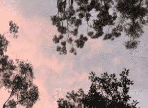 Portfolio Disclosure, Saturday 16 October, 2021