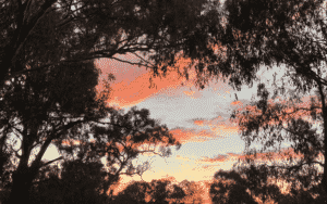Portfolio Disclosure, Saturday 16 October, 2021