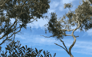 Portfolio Disclosure, Saturday 16 October, 2021