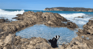 Portfolio Disclosure, Saturday, March 5, 2022