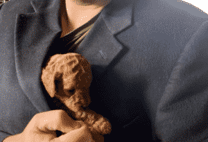 Portfolio Disclosure, Saturday, March 5, 2022