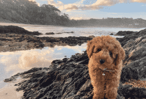 Portfolio Disclosure, Saturday, March 5, 2022