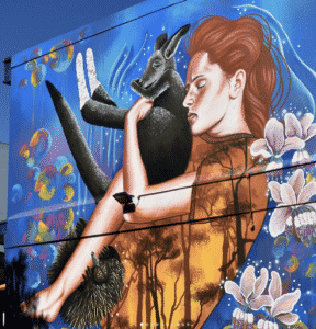 Gay Hawkes imagines a new home after the devastation of bushfire