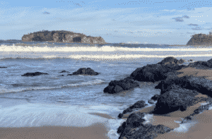 Portfolio Disclosure, Saturday, March 5, 2022