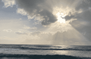 Portfolio Disclosure Sunday, 17 July, 2022