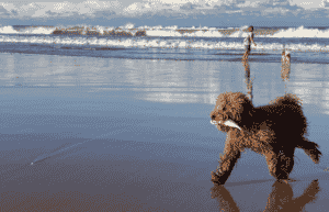 Portfolio Disclosure Sunday, 17 July, 2022