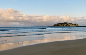 Portfolio Disclosure, Saturday, 3 December, 2022