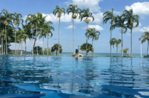 Portfolio Disclosure, Saturday, 3 December, 2022