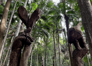East Coast Australia Family Friendly Road Trip, Part 3: Cairns To Daintree Rainforest