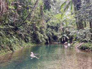 East Coast Australia Family Friendly Road Trip, Part 3: Cairns To Daintree Rainforest