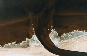 Portfolio Disclousre, Sunday, 25 January, 2026